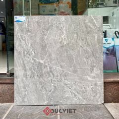 Gạch Viglacera 80x80 CL-GP809