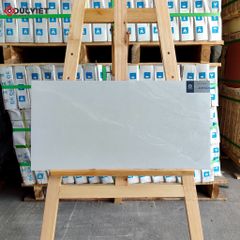 Gạch Viglacera 30x60 CLM3601