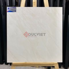 Gạch Viglacera 60x60 CLSM 604