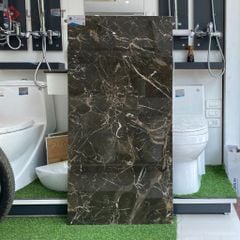 Gạch Viglacera 60x120 ECO-D61201
