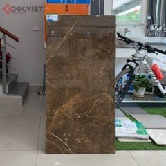 Gạch Viglacera 60x120 ECO-D61202