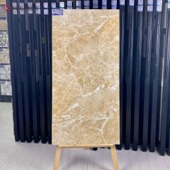 Gạch Viglacera 60x120 ECO-D61203