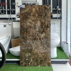 Gạch Viglacera 60x120 ECO-D61204