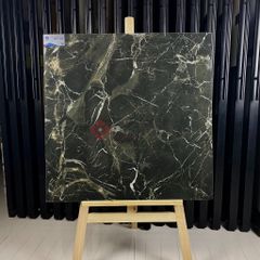Gạch Viglacera 80x80 ECOD 801