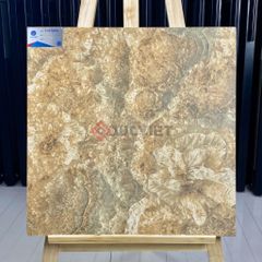 Gạch Viglacera 60x60 ECO S605