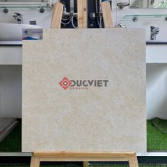 Gạch Viglacera 60x60 ECO M621