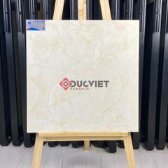 Gạch Viglacera 60x60 ECO S609