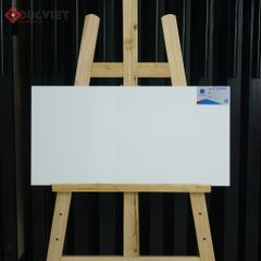 Gạch Viglacera 30x60 F3600