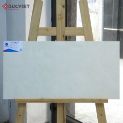 Gạch Viglacera 30x60 F3619
