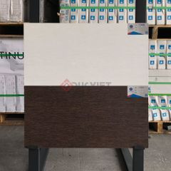 Gạch Viglacera 30x60 F3626