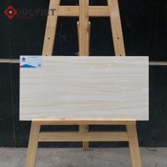 Gạch Viglacera 30x60 F3628
