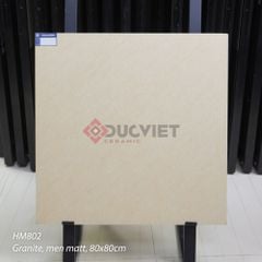 Gạch Viglacera 80x80 HM802