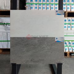 Gạch Viglacera 30x60 KT3686