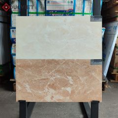 Gạch Viglacera 30x60 KT3631