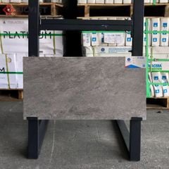 Gạch Viglacera 30x60 KT3686