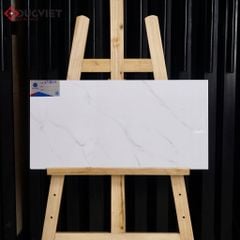 Gạch Viglacera 30x60 KT3927
