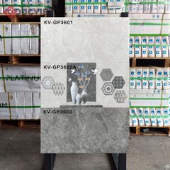 Gạch Viglacera 30x60 KV-GP3602