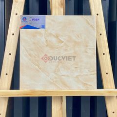 Gạch Viglacera 30x30 N307