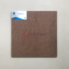 Gạch Viglacera 30x30 N3602