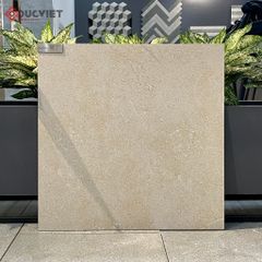 Gạch Eurotile NGC H04 60x60