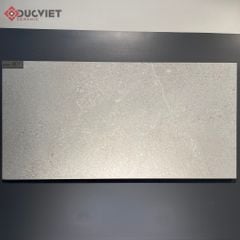 Gạch Eurotile NGC I01 45x90