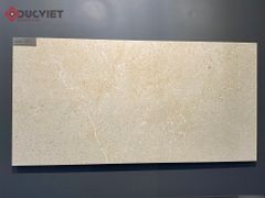 Gạch Eurotile NGC I04 45x90