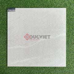 Gạch 60x60 Platinum PH66-03