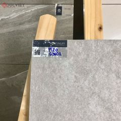 Gạch Eurotile 20mm PT20-G3602 30x60