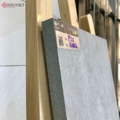 Gạch Eurotile 20mm PT20-G3602 30x60