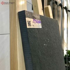 Gạch Eurotile 20mm PT20-G3604 30x60