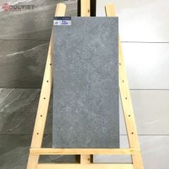 Gạch Eurotile 20mm PT20-G3605 30x60