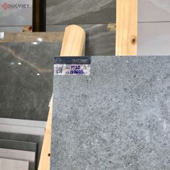 Gạch Eurotile 20mm PT20-G3605 30x60