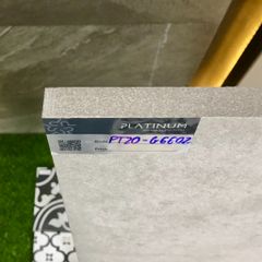 Gạch Eurotile 20mm PT20-G6602 60x60