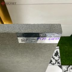 Gạch Eurotile 20mm PT20-G6603 60x60