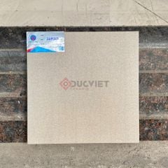 Gạch Viglacera 30x30 SGM319