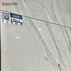 Gạch Eurotile SIG-P8801 80x80