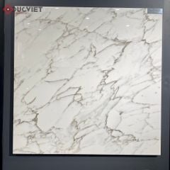 Gạch Eurotile SIG-P8802 80x80