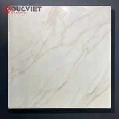 Gạch Eurotile SIG-P8805 80x80