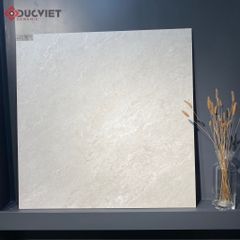 Gạch Eurotile SOK E01 80x80