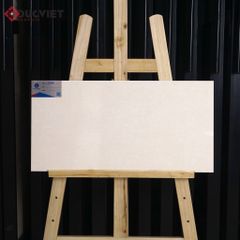 Gạch Viglacera 30x60 T363