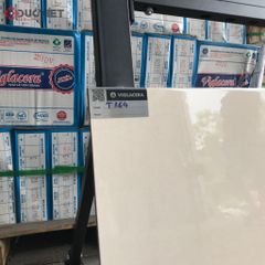 Gạch Viglacera 30x60 T364