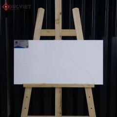 Gạch Viglacera 30x60 T367