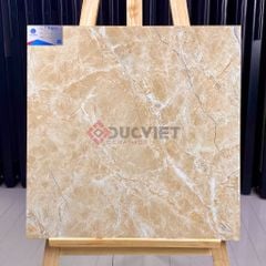 Gạch Viglacera 60x60 TB602