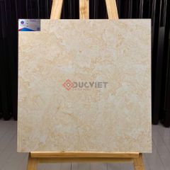 Gạch Viglacera 60x60 TB603