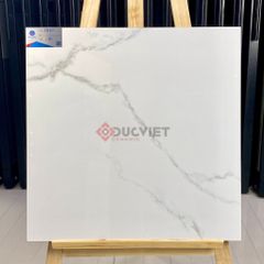 Gạch Viglacera 60x60 TB611