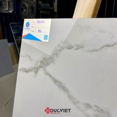 Gạch Viglacera 60x60 TB611