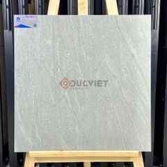 Gạch Viglacera 60x60 TM602