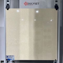Gạch Viglacera 60x60 TS1-615