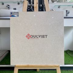 Gạch Viglacera 60x60 TS2-612
