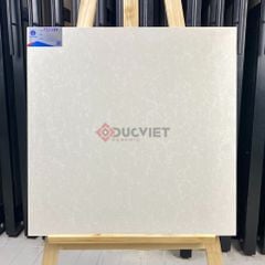 Gạch Viglacera 60x60 TS2-617